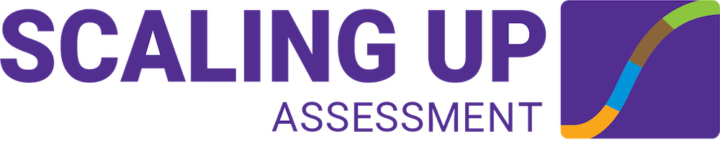 Scaling Up Assessment