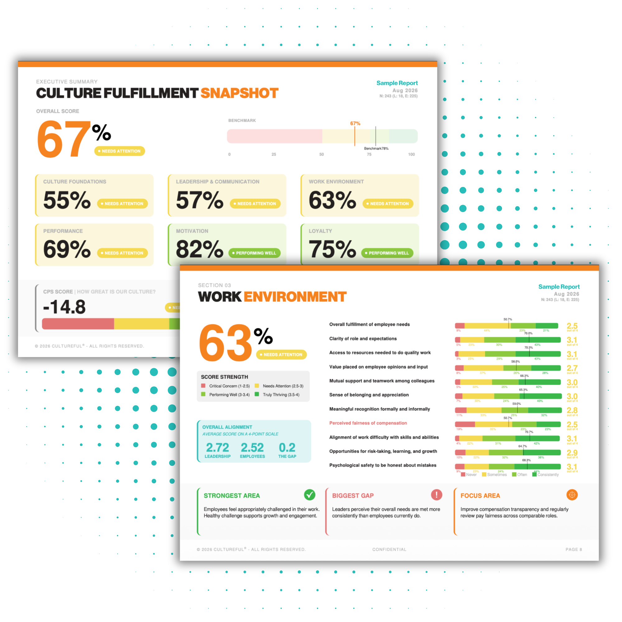 Pages from the Culture Clarity report